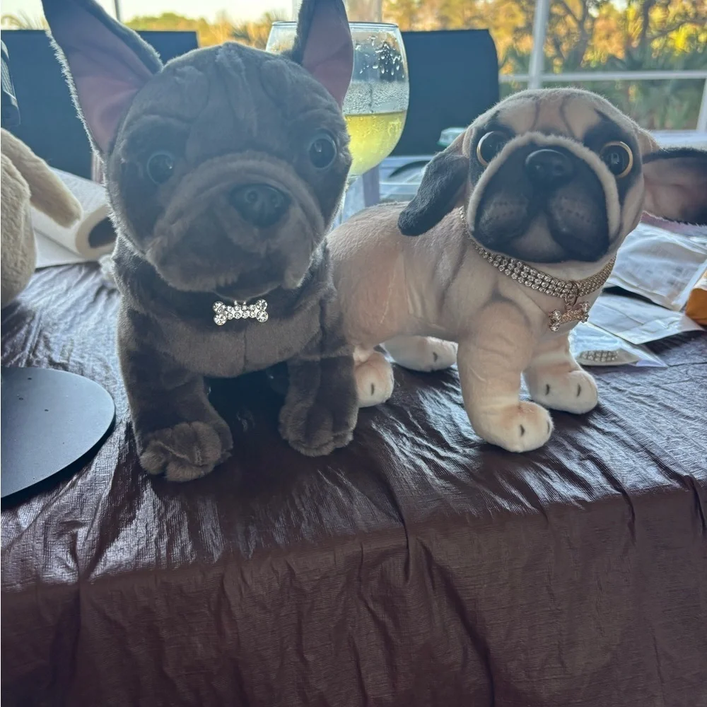 Diamond collars for your furry pets 🩷💙